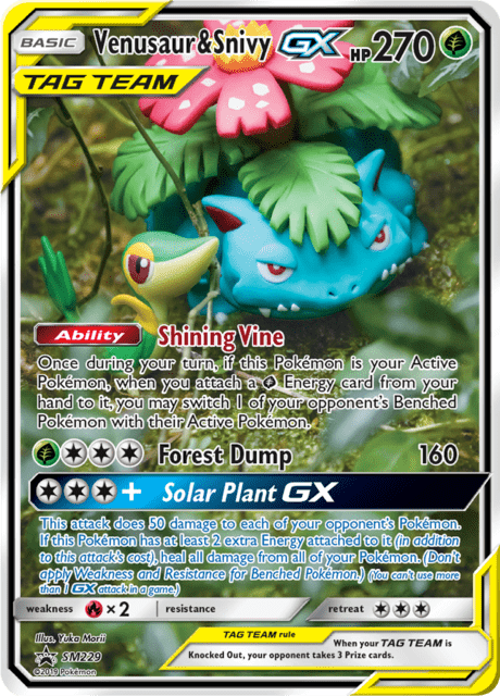 Venusaur & Snivy